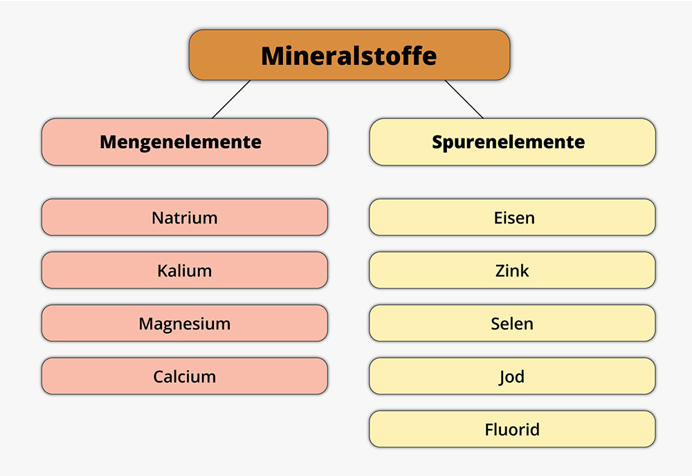 Mineralstoffe und Spurenelemente - Teil 2 (M bis Z)